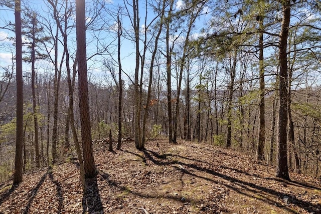 0 Crest Ct, Waverly, TN 37185 - photo 24