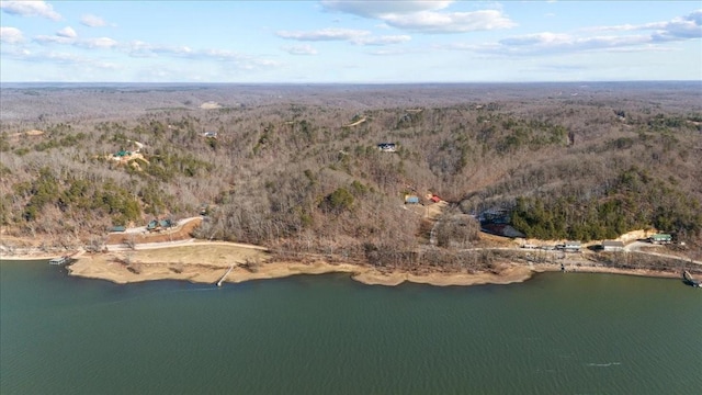 0 Crest Ct, Waverly, TN 37185 - photo 18