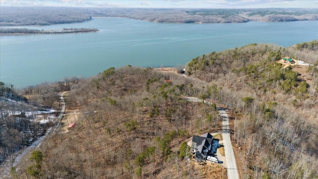 0 Crest Ct, Waverly, TN 37185 - photo 2