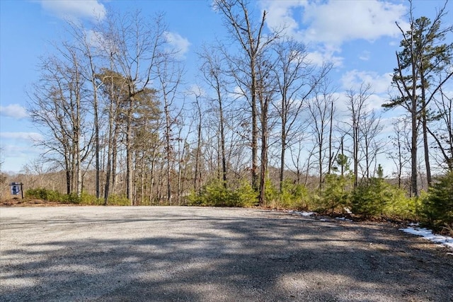 0 Crest Ct, Waverly, TN 37185 - photo 31