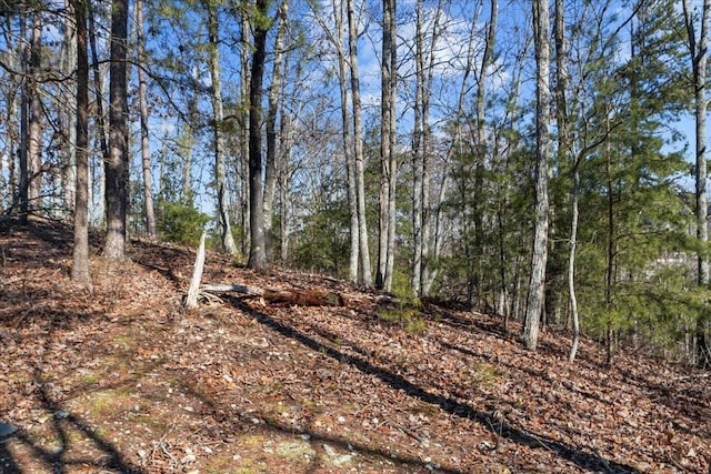 0 Crest Ct, Waverly, TN 37185 - photo 29