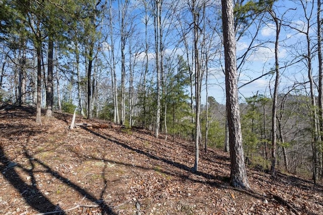 0 Crest Ct, Waverly, TN 37185 - photo 30