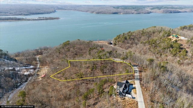 0 Crest Ct, Waverly, TN 37185 - photo 1