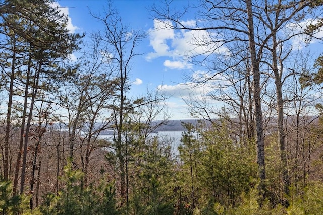 0 Crest Ct, Waverly, TN 37185 - photo 28