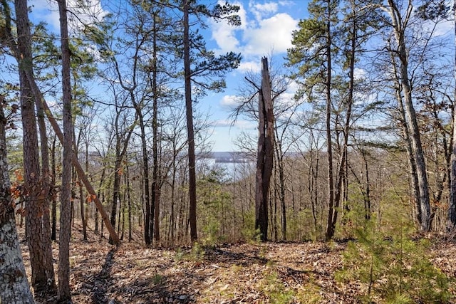 0 Crest Ct, Waverly, TN 37185 - photo 27