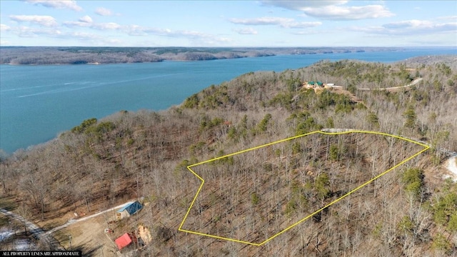 0 Crest Ct, Waverly, TN 37185 - photo 6