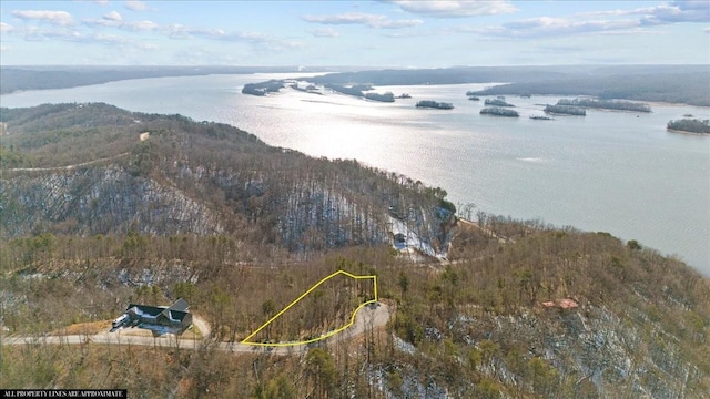 0 Crest Ct, Waverly, TN 37185 - photo 16