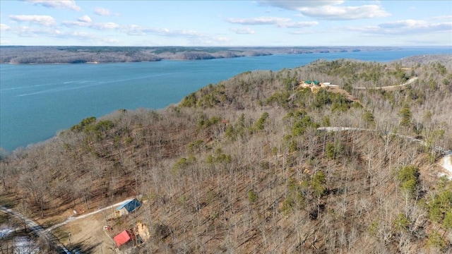 0 Crest Ct, Waverly, TN 37185 - photo 7