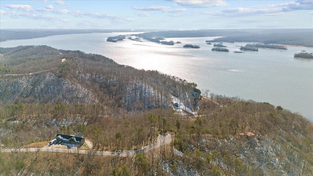 0 Crest Ct, Waverly, TN 37185 - photo 15