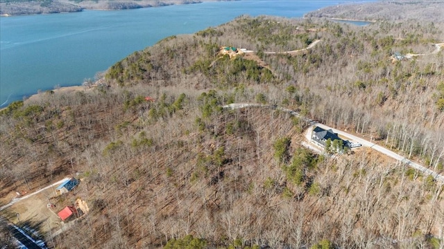 0 Crest Ct, Waverly, TN 37185 - photo 9