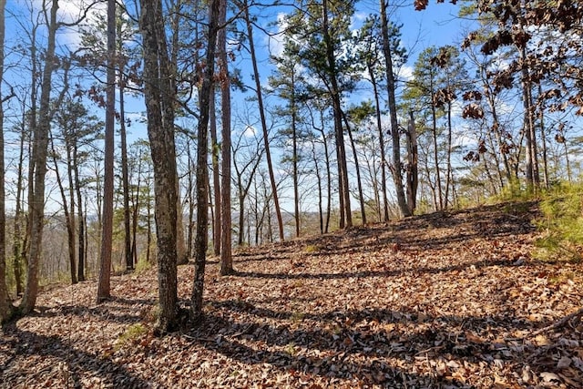 0 Crest Ct, Waverly, TN 37185 - photo 25