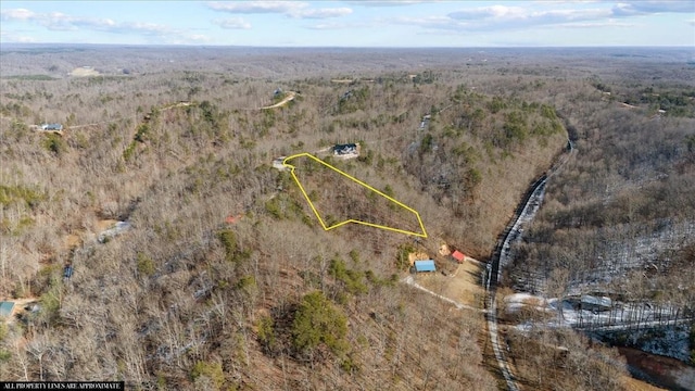 0 Crest Ct, Waverly, TN 37185 - photo 17