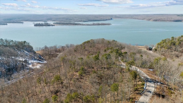 0 Crest Ct, Waverly, TN 37185 - photo 5