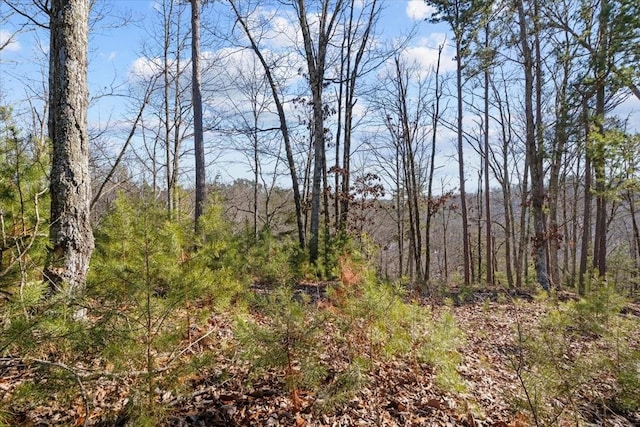 0 Crest Ct, Waverly, TN 37185 - photo 26
