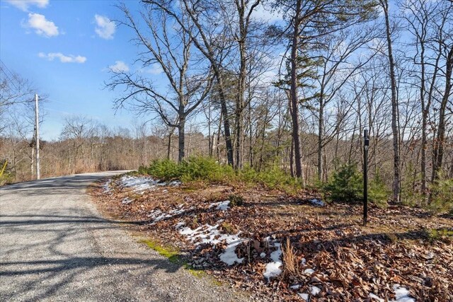 0 Crest Ct, Waverly, TN 37185 - photo 33