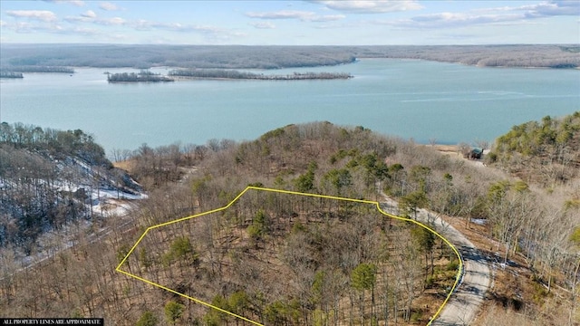 0 Crest Ct, Waverly, TN 37185 - photo 3