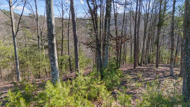 0 Crest Ct, Waverly, TN 37185 - photo 22