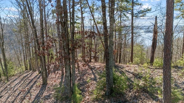 0 Crest Ct, Waverly, TN 37185 - photo 21