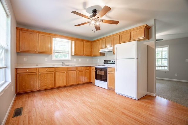 kitchen with ceiling fan, light wood-type flooring, white appliances, and sink