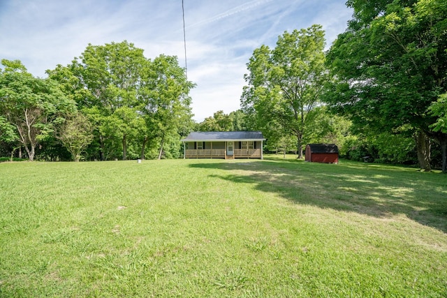 view of yard with a shed