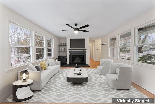 living room with ceiling fan and wood-type flooring