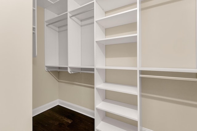 spacious closet featuring wood finished floors