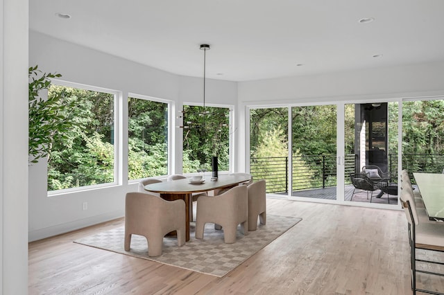 view of sunroom / solarium