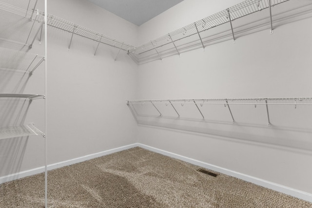 walk in closet featuring carpet flooring