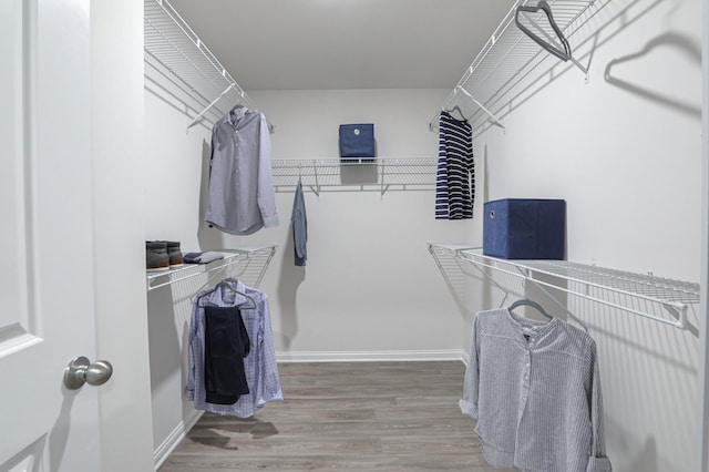 walk in closet with hardwood / wood-style floors