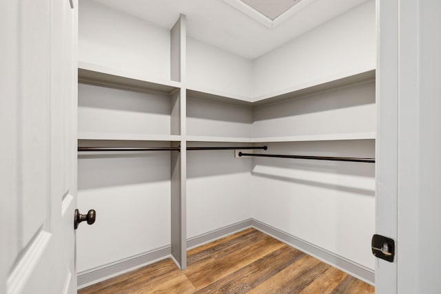 walk in closet featuring dark hardwood / wood-style flooring