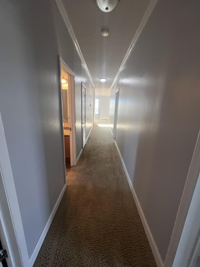 hall with crown molding and dark carpet