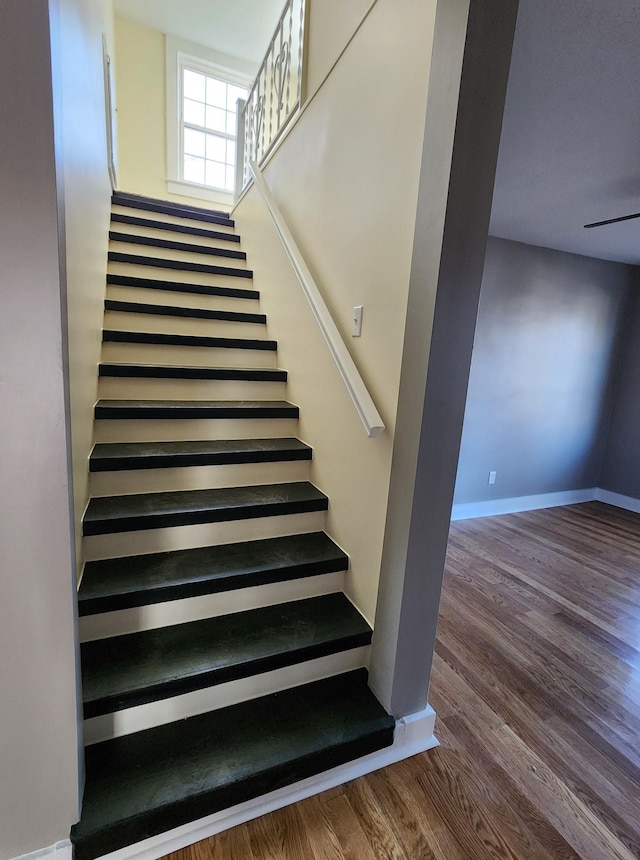 staircase with wood-type flooring