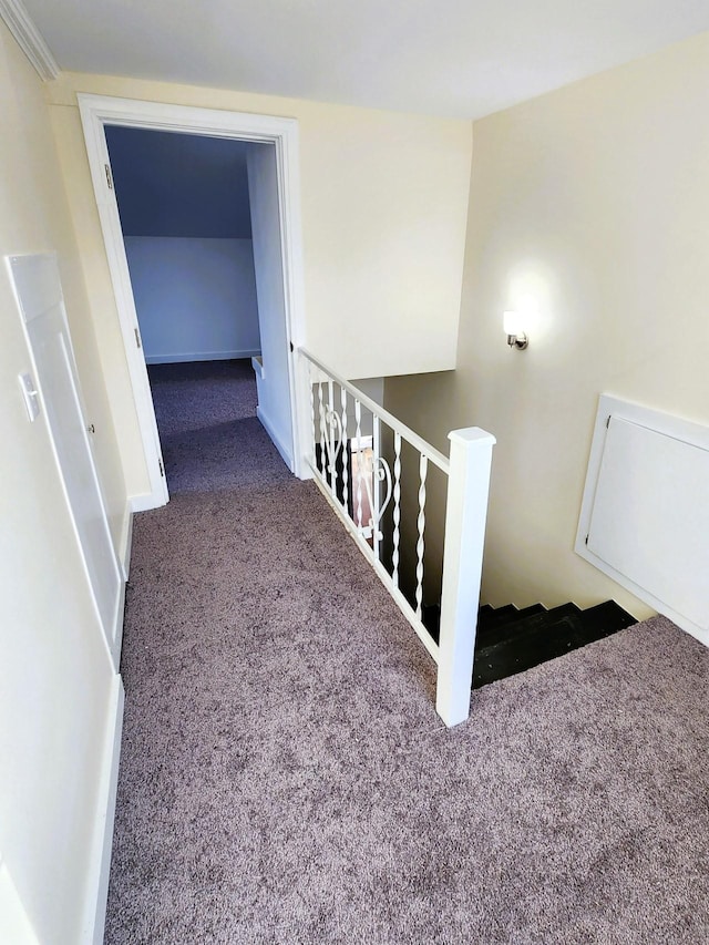 staircase with carpet