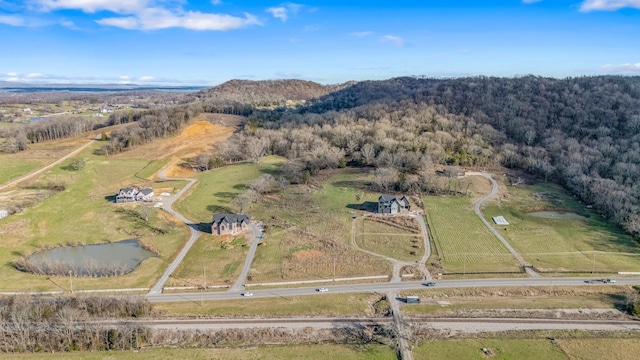 Listing photo 2 for 9222 Horton Hwy, College Grove TN 37046