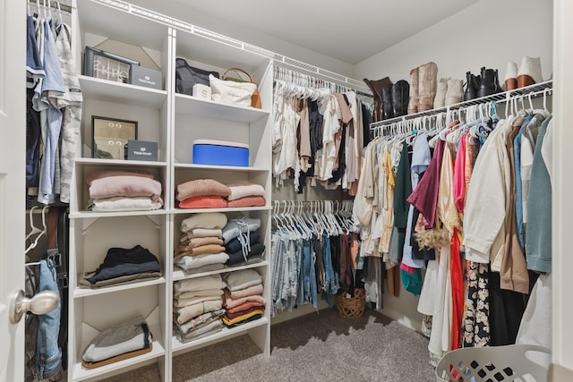 spacious closet with carpet