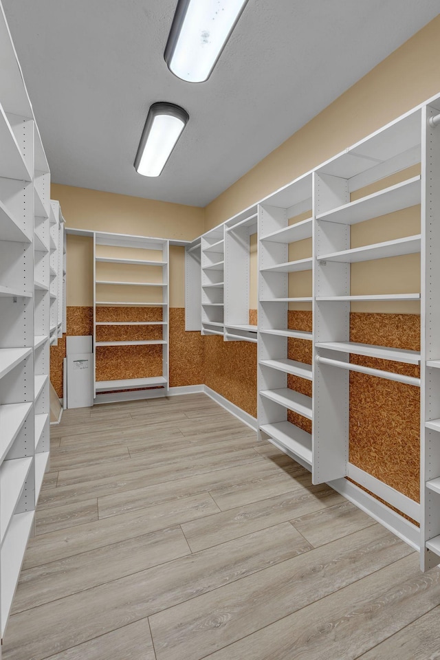 spacious closet featuring wood-type flooring