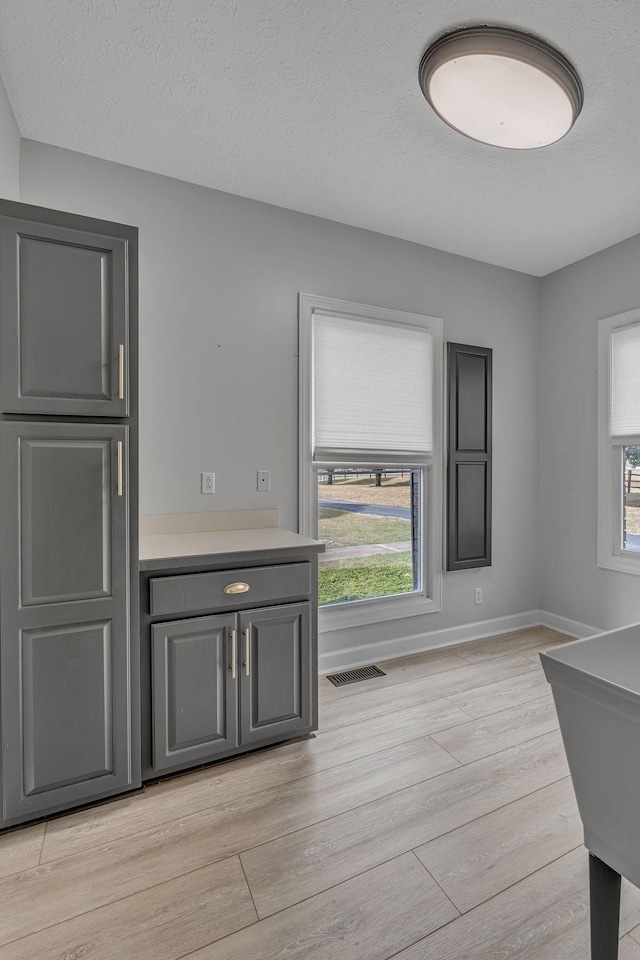 interior space with gray cabinetry and a textured ceiling