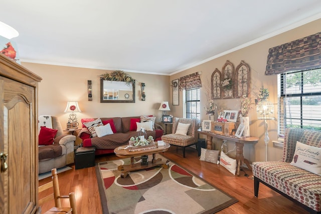 living room with wood-type flooring and ornamental molding