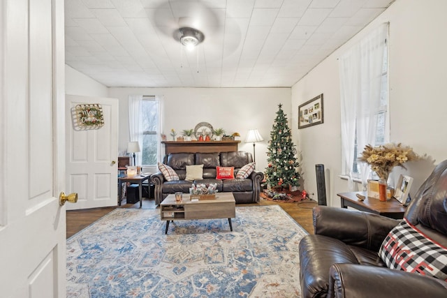 living room with dark wood-type flooring