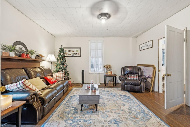 living room with dark hardwood / wood-style flooring