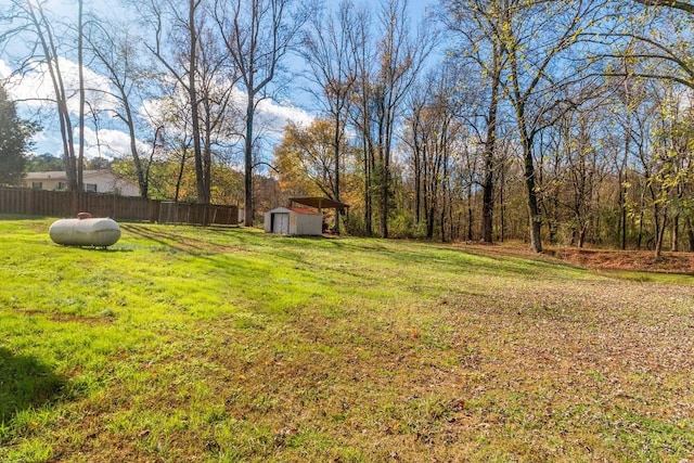 view of yard with a shed