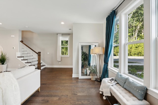 living room featuring dark wood-type flooring