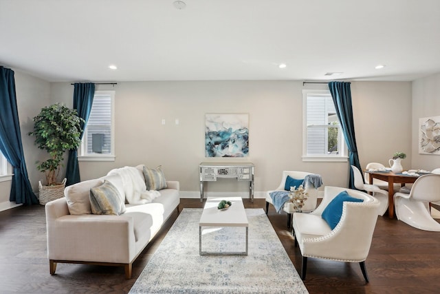 living room with dark wood-type flooring