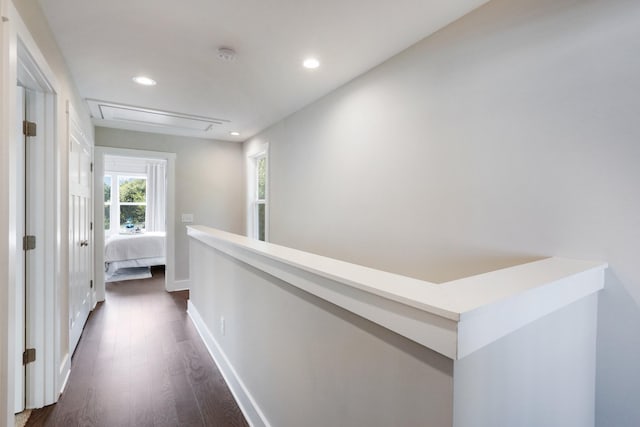 corridor featuring dark hardwood / wood-style flooring