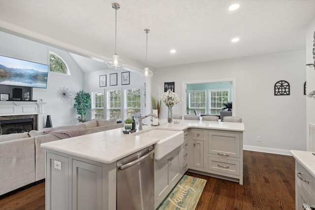 kitchen featuring pendant lighting, a wealth of natural light, dark hardwood / wood-style flooring, and stainless steel dishwasher