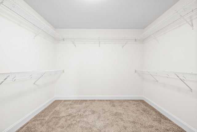 spacious closet with carpet flooring