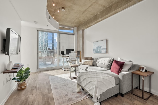 living room with light hardwood / wood-style flooring and expansive windows