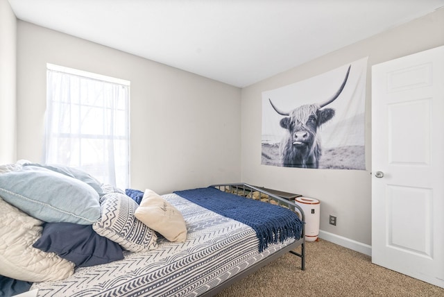 bedroom with carpet flooring