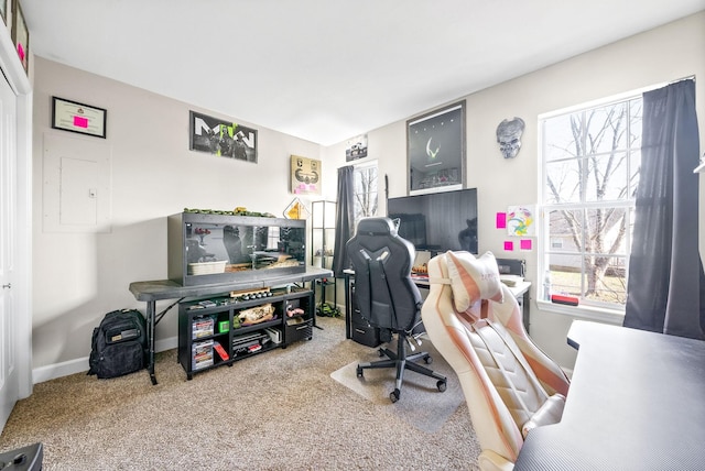 carpeted office space with a wealth of natural light