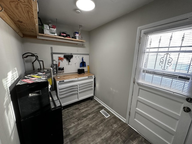 interior space with wood counters, a healthy amount of sunlight, and dark wood-type flooring